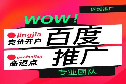 百度竞价排名服务：成功案例解析
